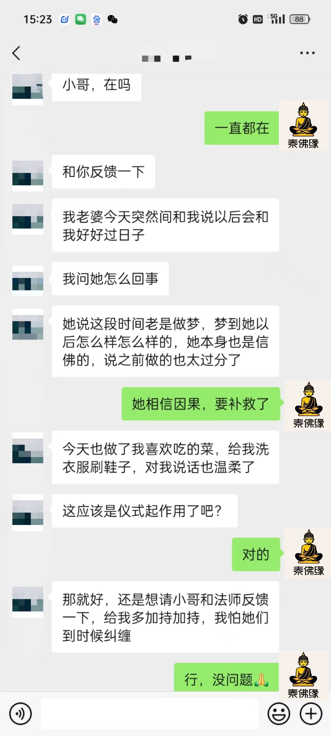 墓地斩桃花反馈(图1)
